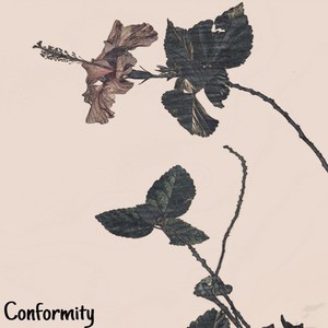 Conformity