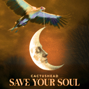 Save Your Soul (Larry Peace Radio)