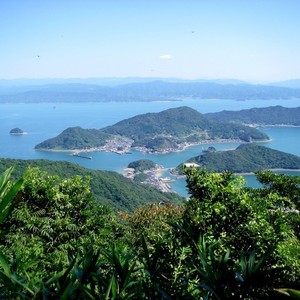 今日から明日へ