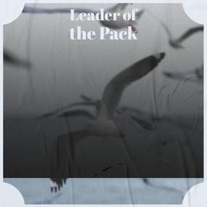 Leader of the Pack