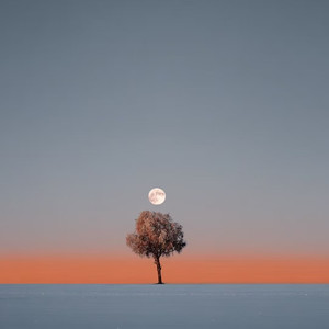 烟花易冷 (Rnb男版)