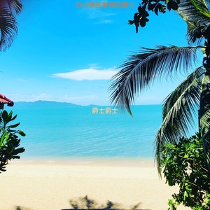 办公室工作快活的爵士