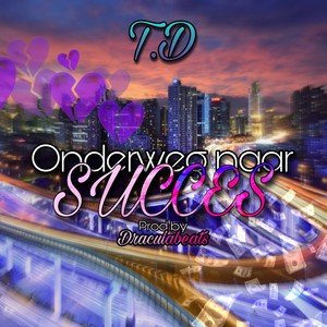 Onderweg naar succes