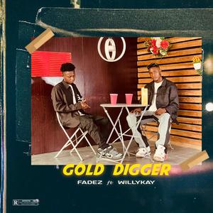 Gold Digger (feat. Willykay) (Explicit)