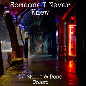 Someone I Never Knew (Explicit)