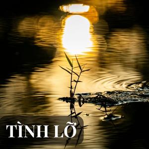 TÌNH LỠ