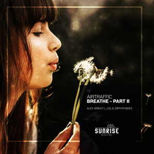 Breathe (L_DG Remix)