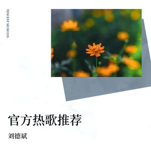 做你一生的情人 (烟嗓伤感版)