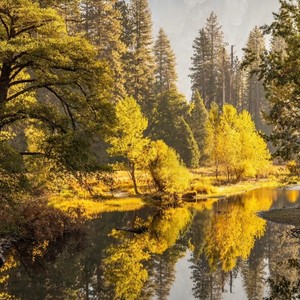 大头针 Official - 像梦一样自由（像天空一样坚强）