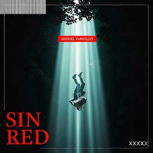 Sin red