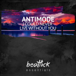 I Could Never Live Without You (Extended Mix)