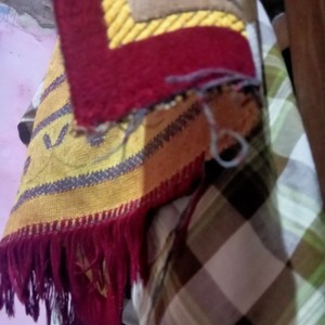 Goreng belut