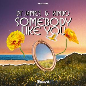 Somebody Like You