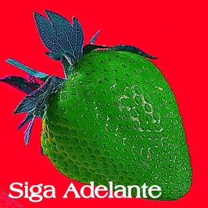 Siga Adelante