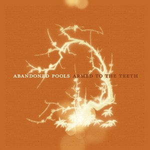Armed To The Teeth (Album Version)