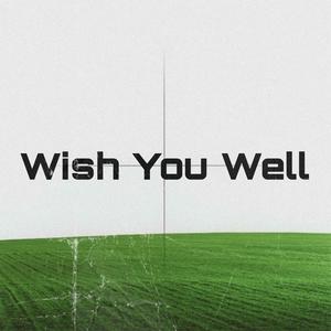 Wish You Well (feat. euphorick) (Explicit)