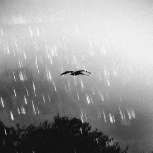 Don't Judge Me feat. MACCHO