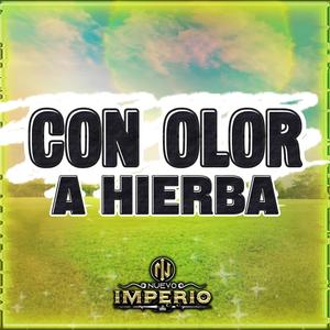 Con Olor A Hierba (Live)