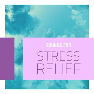 Sounds for Stress Relief: New Age Music to Free Yourself of Anxiety and Tension