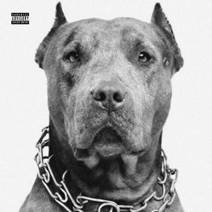 Underdog (Explicit)