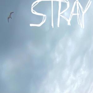 STRAY (feat. FoxTaleFire)