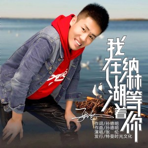 我在纳林湖等着你