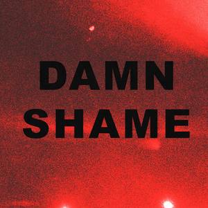 Damn Shame (Explicit)