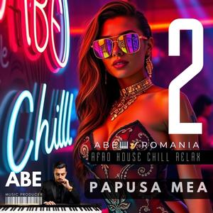 PAPUSA MEA -2- Best Romanian Chill House Music