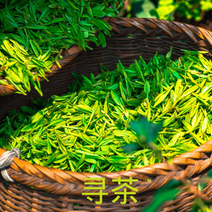 魔法星空的色彩