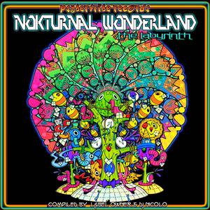 Nokturnal Wonderland - The Labyrinth