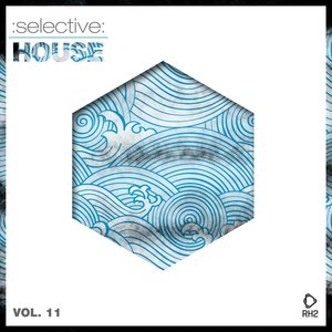 Selective: House, Vol. 11