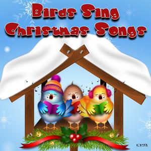 Birds sing Christmas Songs
