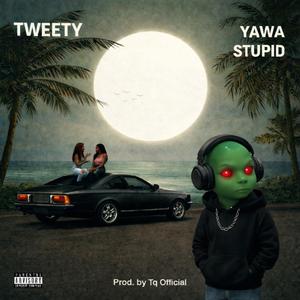 Stupid (feat. TQ Mayana) (Explicit)