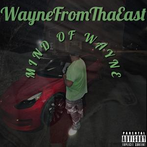 Mind Of Wayne (Explicit)