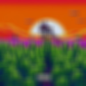 Short Term Memory (Explicit)