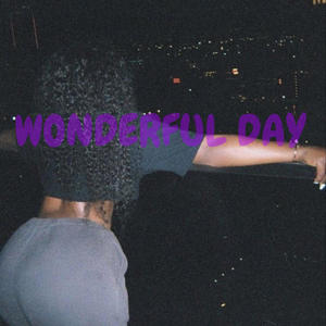 Wonderful Day (Explicit)