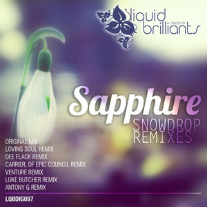 Snowdrop (Venture Remix)