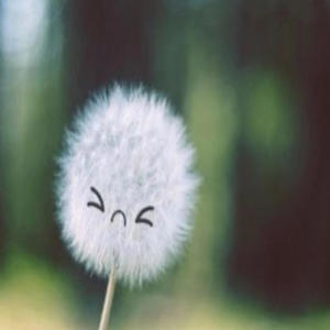 bran new luv song (feat. bat64) (Explicit)