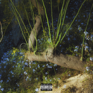 EsStrellao°☆⭑＊ (Explicit)