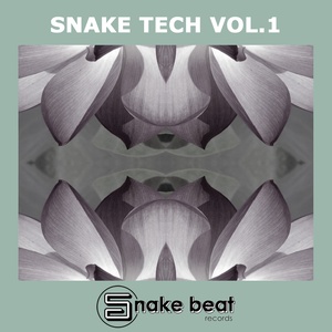 Snake Tech, Vol. 1 (Tech House, House Music, Deep House)