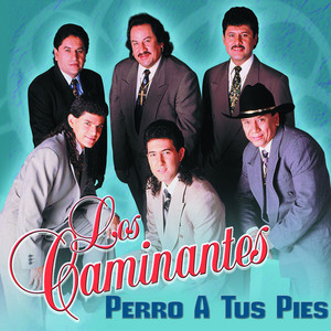 Perro A Tus Pies