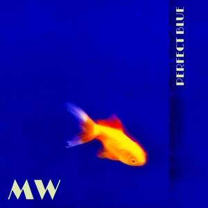 Perfect Blue (Original Mix)