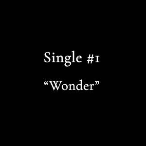 Wonder (Explicit)