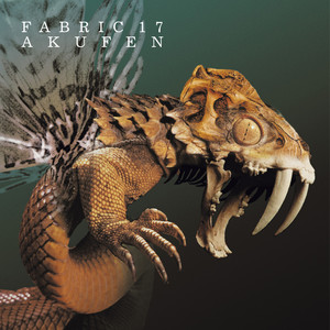 fabric 17: Akufen