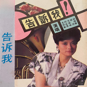 就这样爱上了你