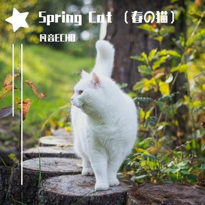 Spring cat（春の猫）