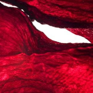 Silence is an Option