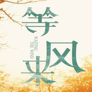 那天我在等风来