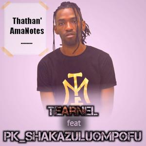 Thathan ama notes (feat. PK_ShakaZuluOmpofu) (Explicit)