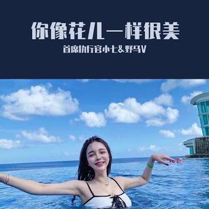 你像花儿一样很美 (DJ版)